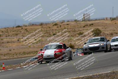 media/May-03-2025-Lucky Dog Racing (Sat) [[206de64b9d]]/Turn 6 (150pm-230pm)/